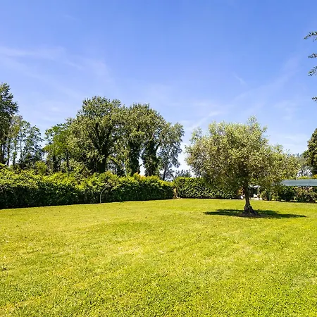 Oasis On The River Pisa